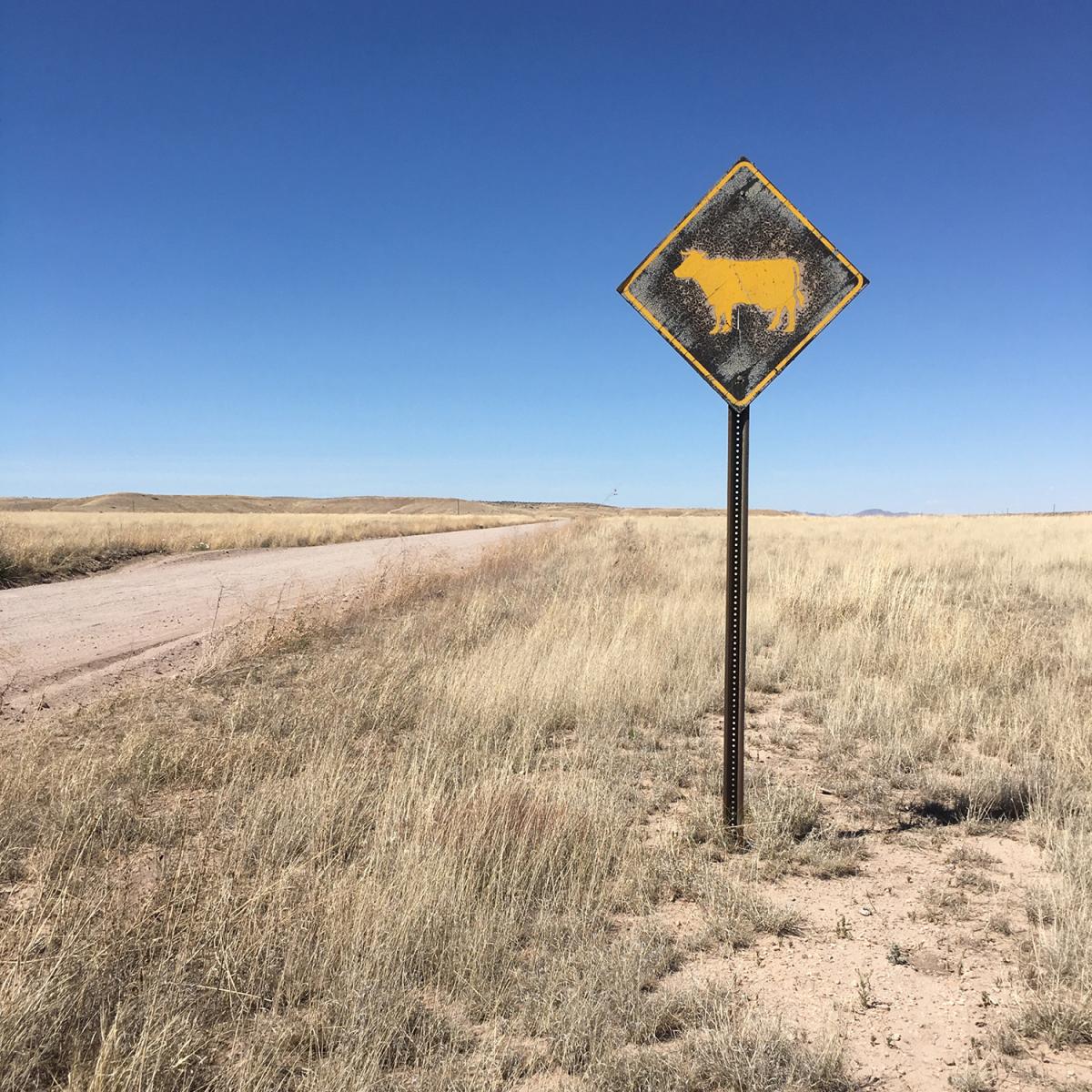 A cattle crossing sign