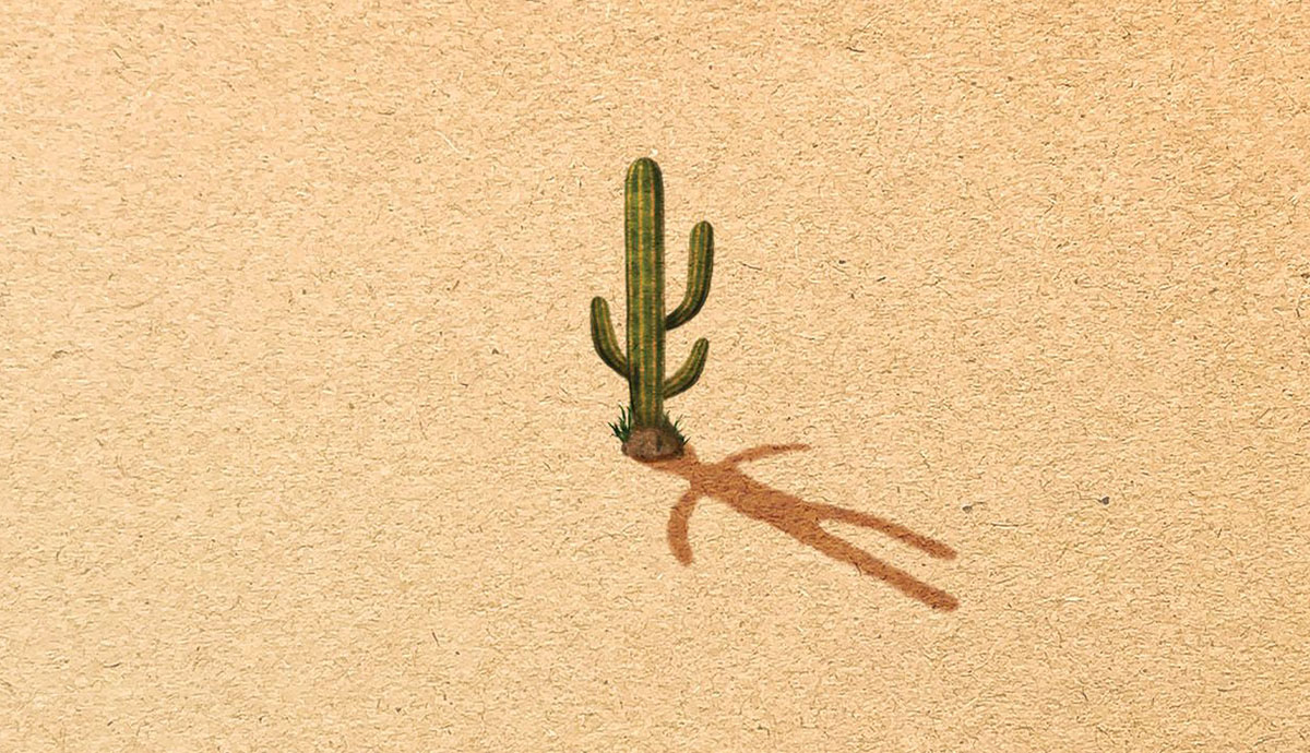 Desert image of cactus