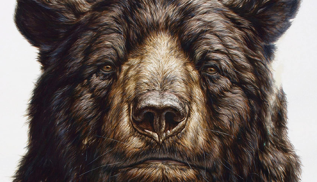 painting of bear face