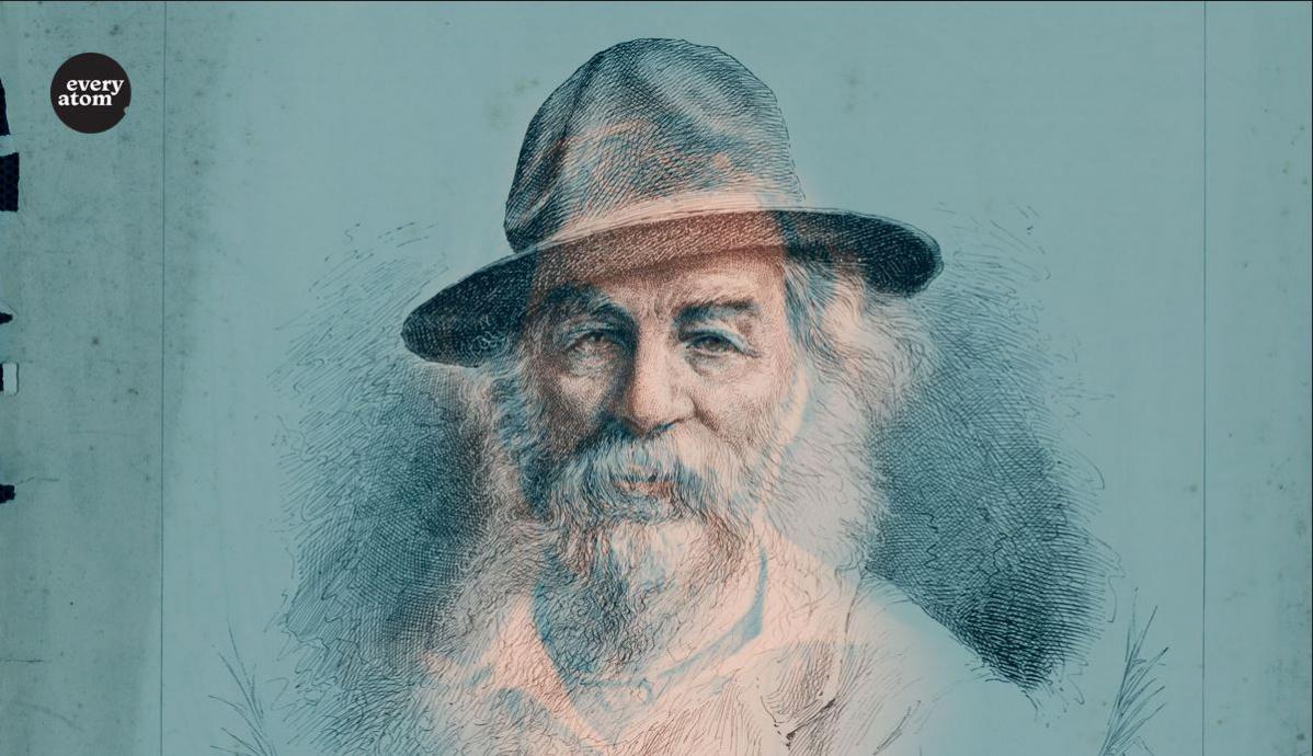 Drawn Whitman
