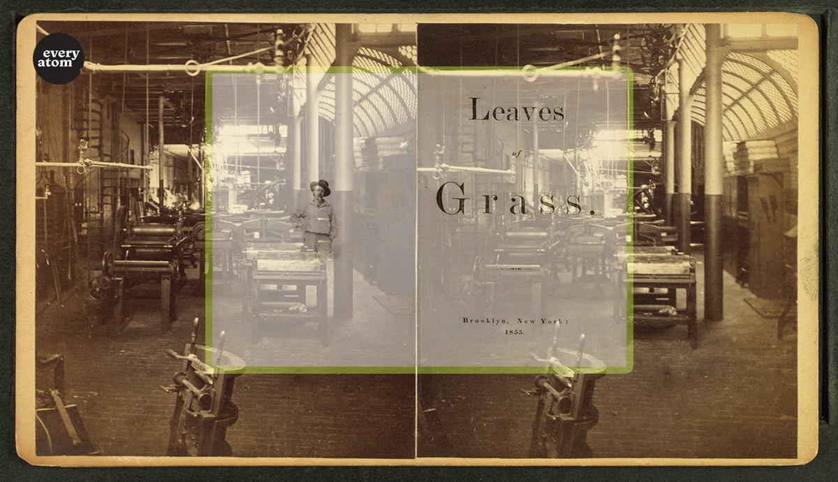 Stereo image of old print shop, with frontispiece to 1855 Leaves of Grass