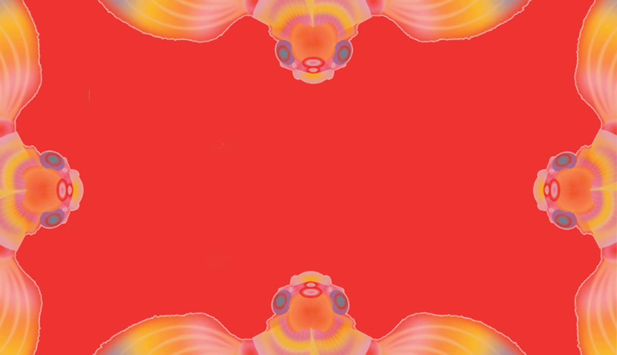 Fish on a red background
