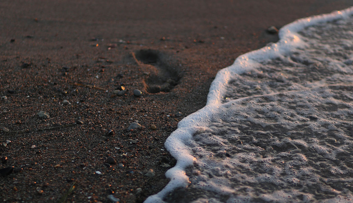 Header Graphic: A single footprint in the sand about to be washed away by the tide | Image Credit: Elias Domsch via Unsplash