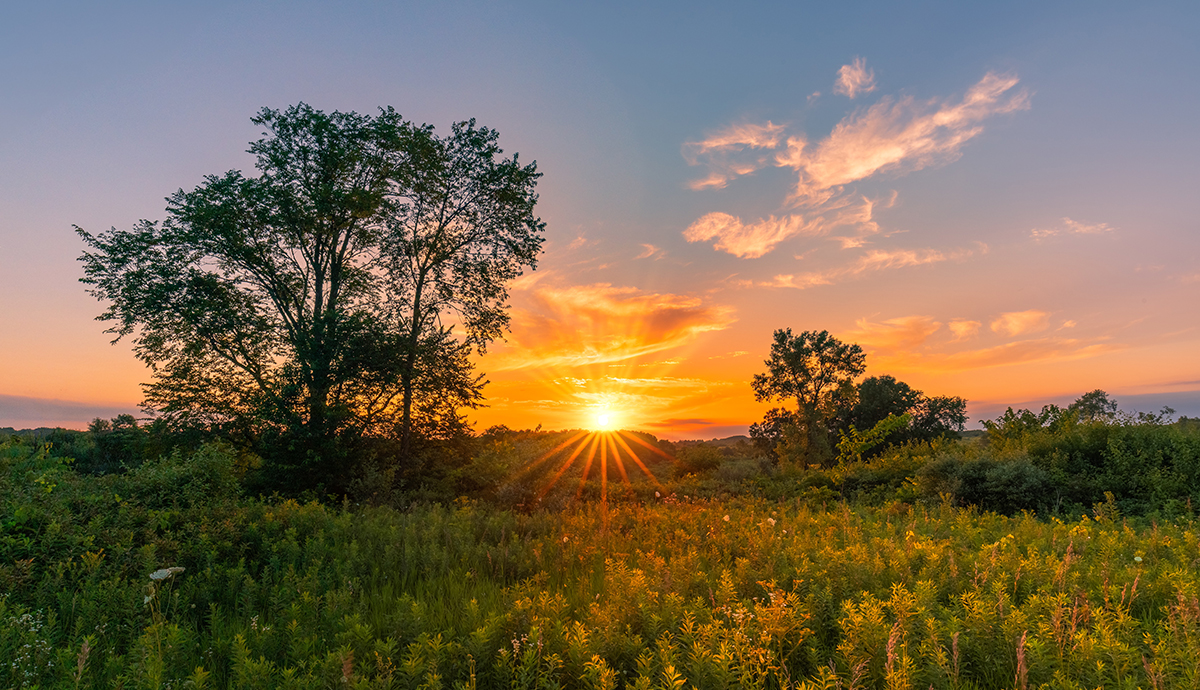 Header Graphic: Midwest Prairie Grass during a Sunset | Image Credit: Dave via Unsplash