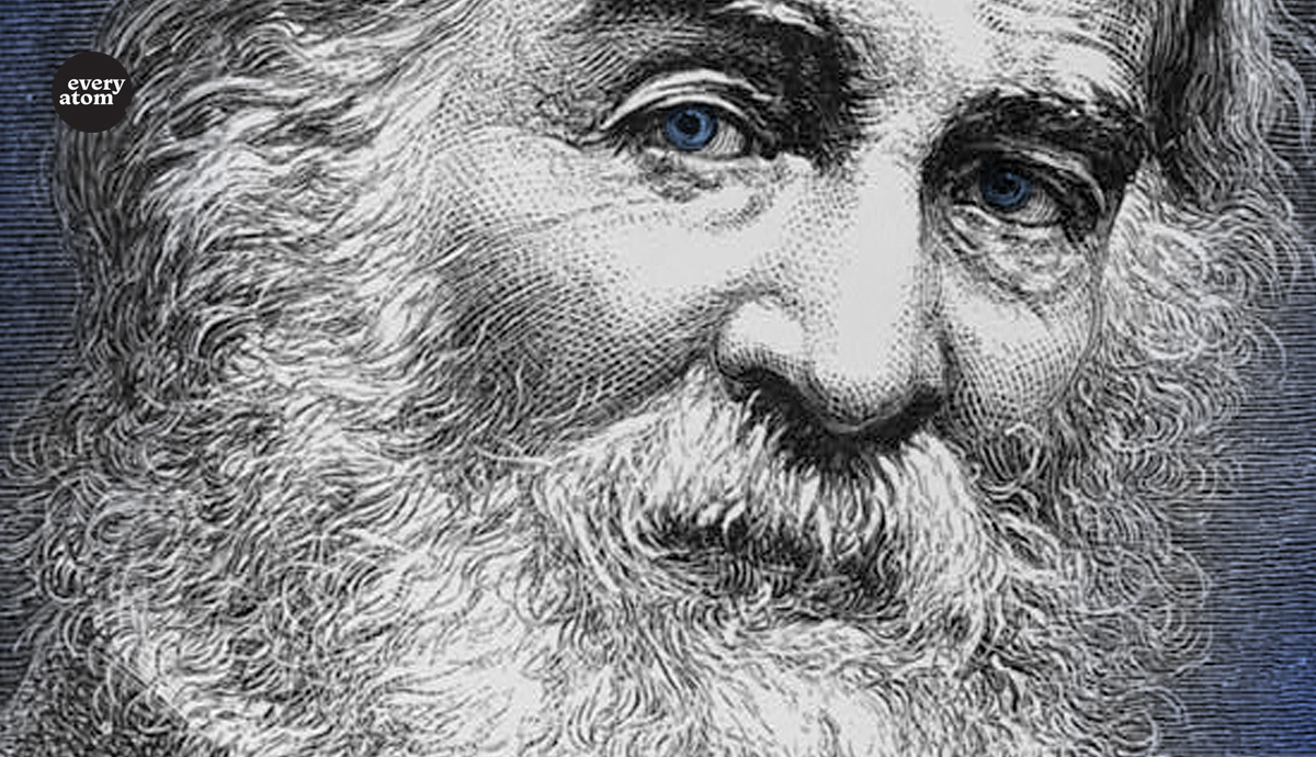 intimate drawn Whitman