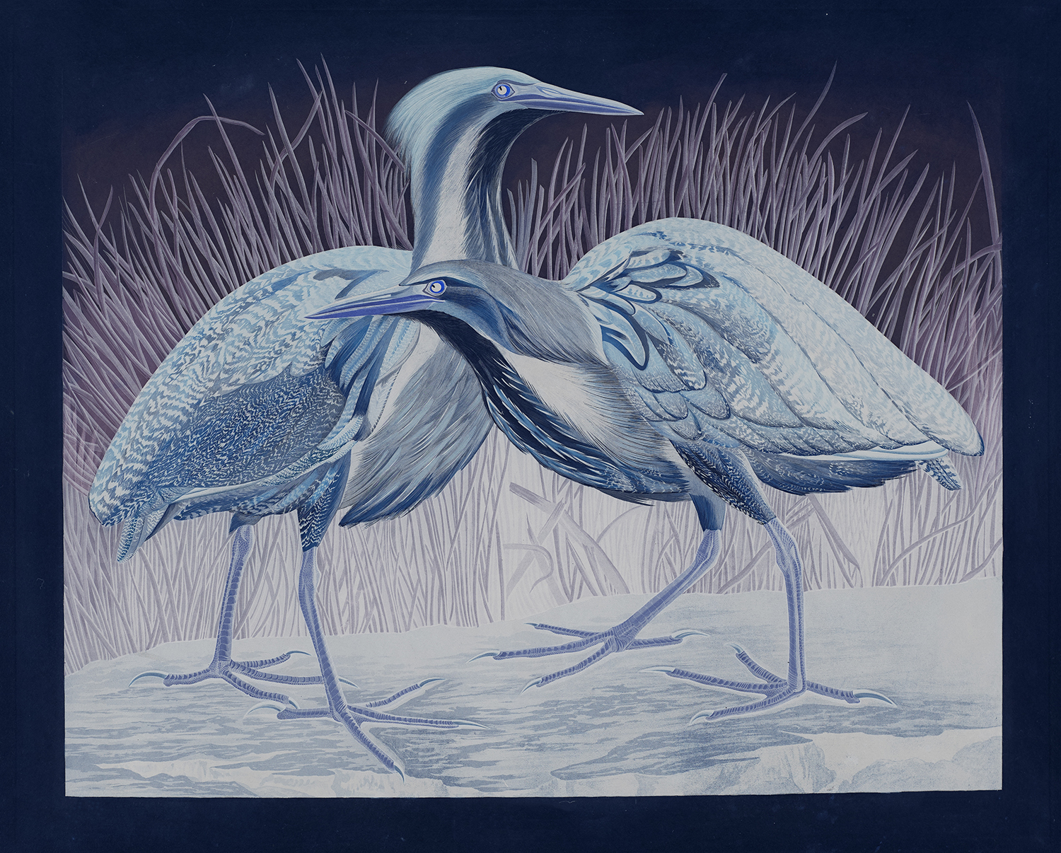 American Bittern Painting