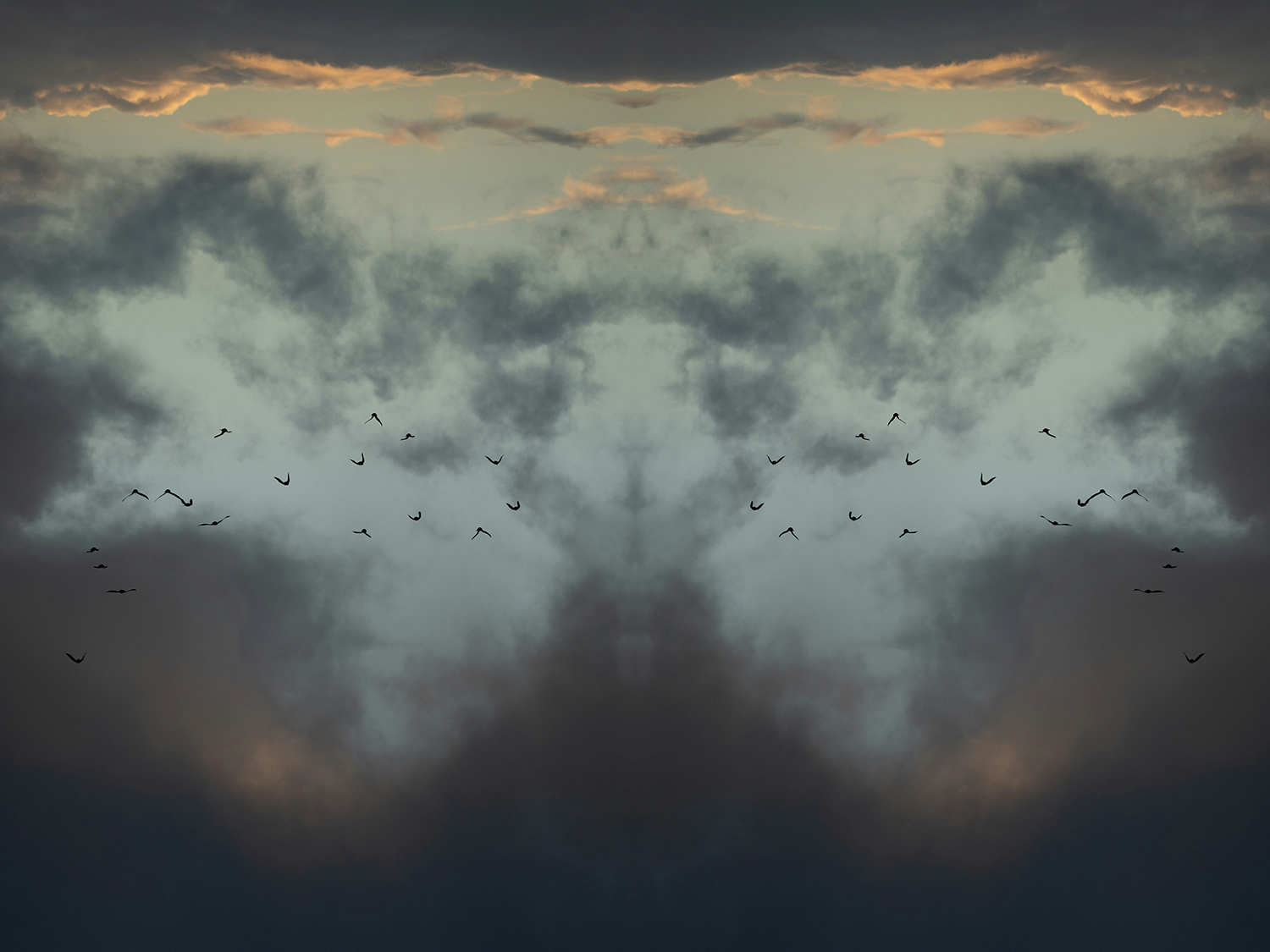 birds and clouds