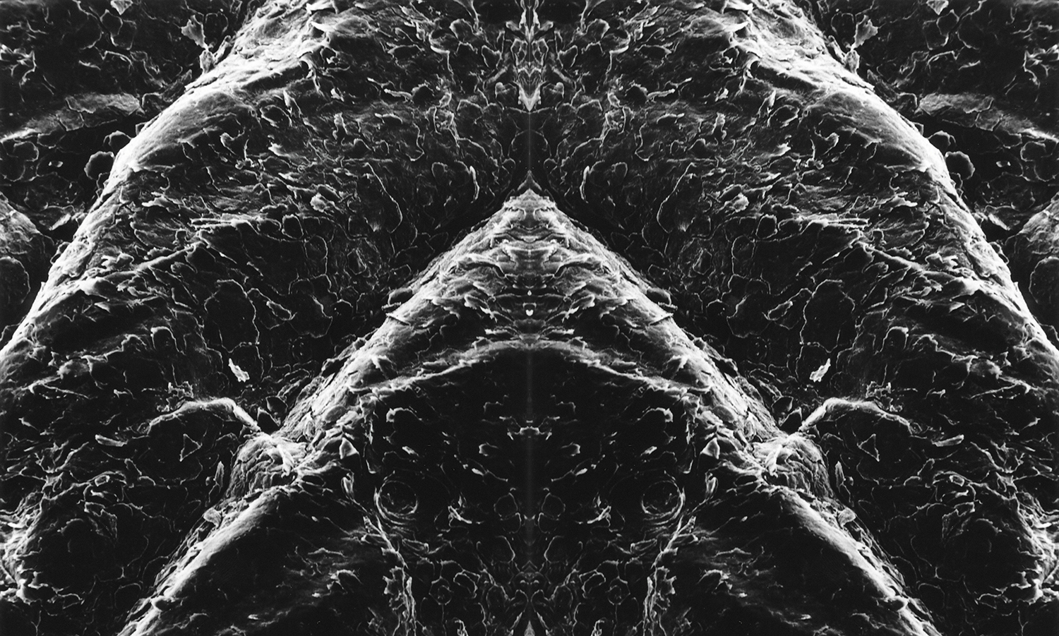 Black and white close up of skin