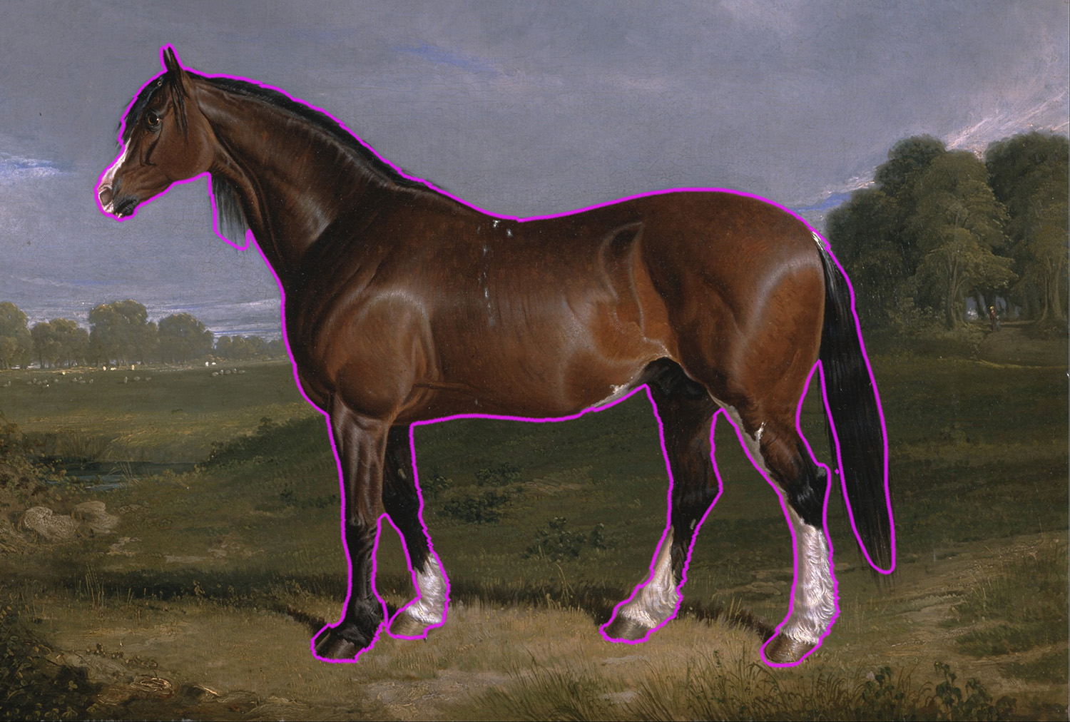 Horse in an open field 