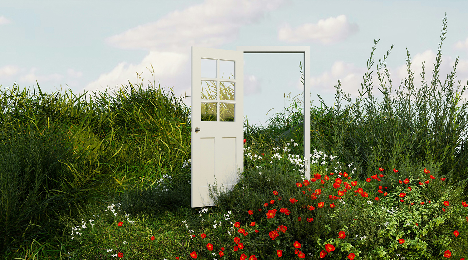 Open Door in the middle of flowers and grasses
