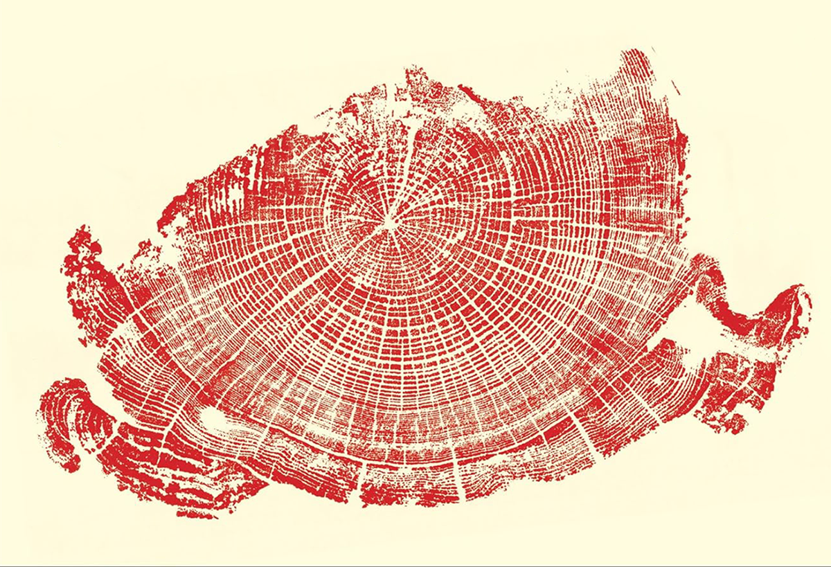 red woodcut of tree rings on cream background