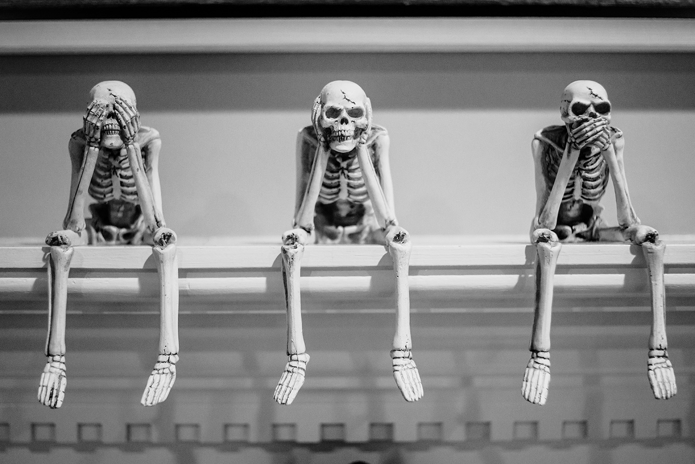 Plastic Skeletons Outside