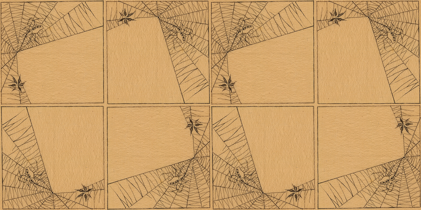 spiderweb sketch