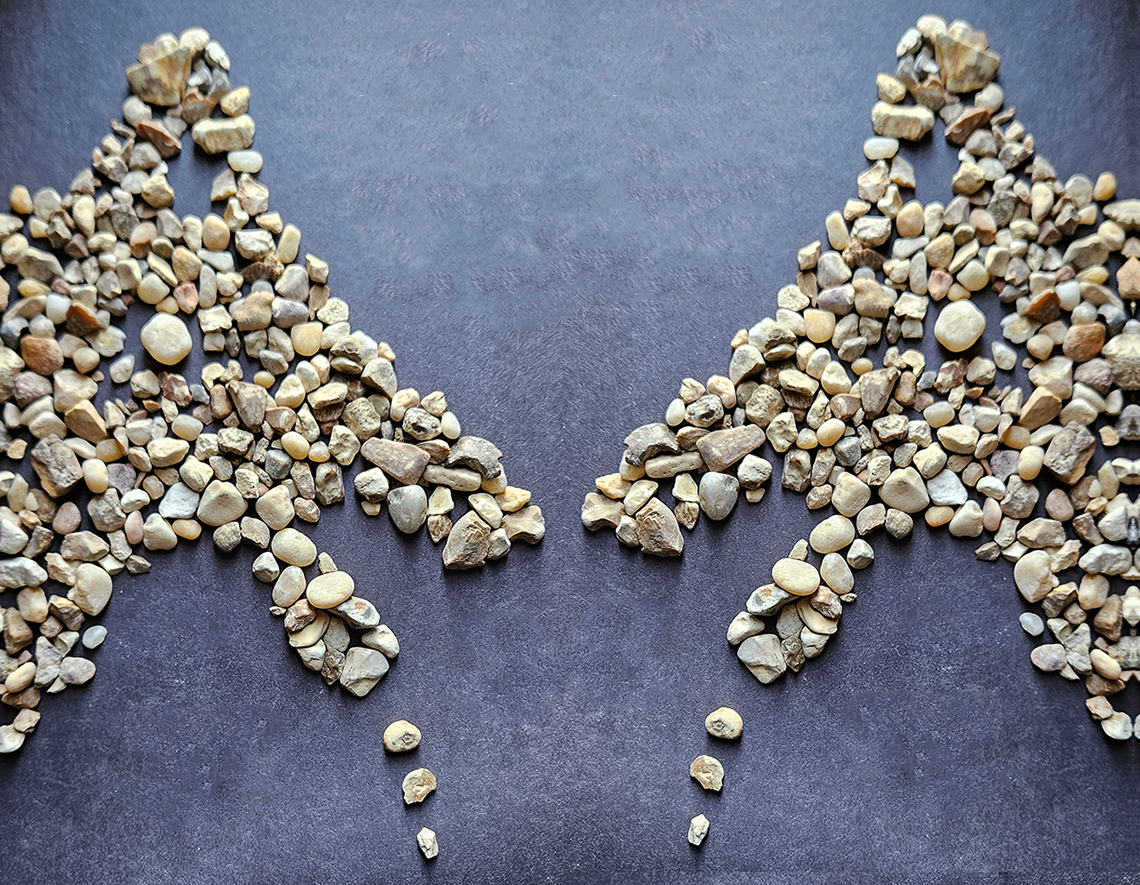 Strophes of Job cover with mirrored horse pebble formation