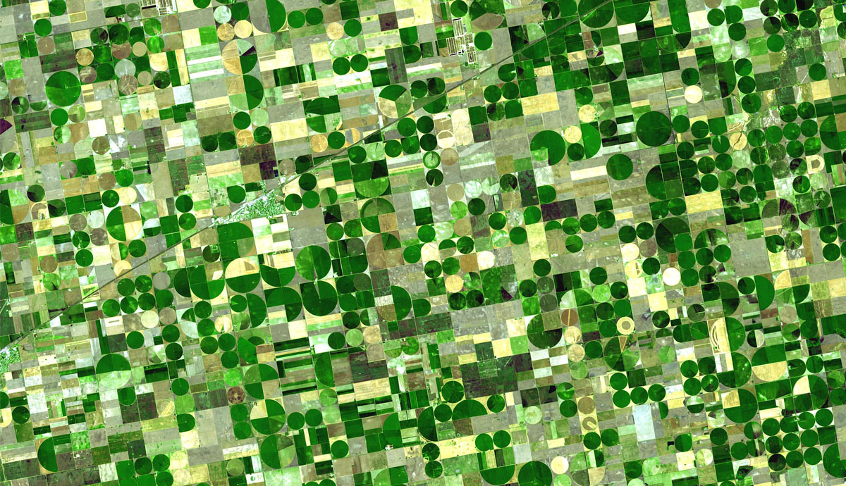 Satellite Image of Kansas Fields 