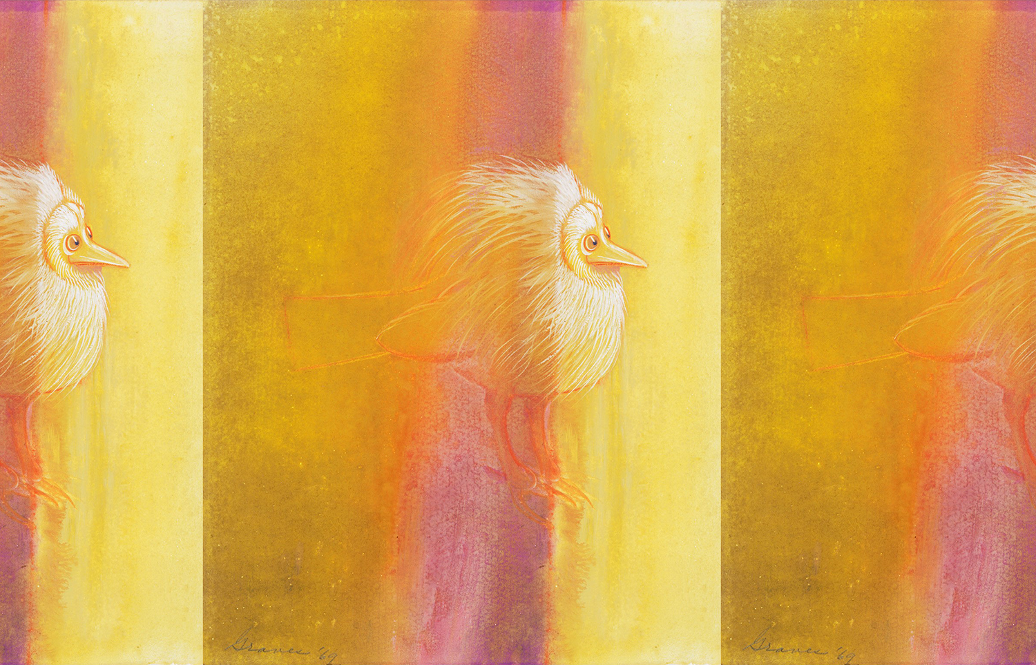 bid on yellow and pink background