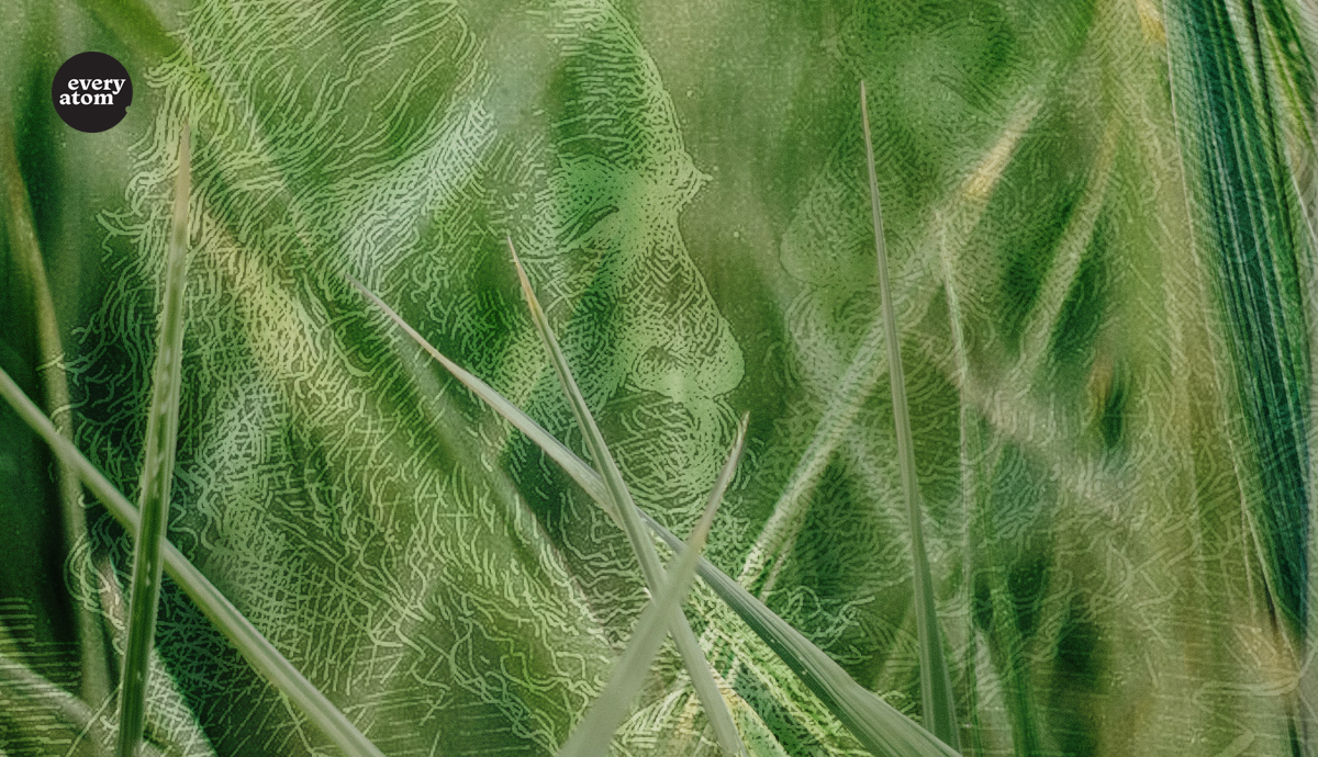 Whitman in the grass