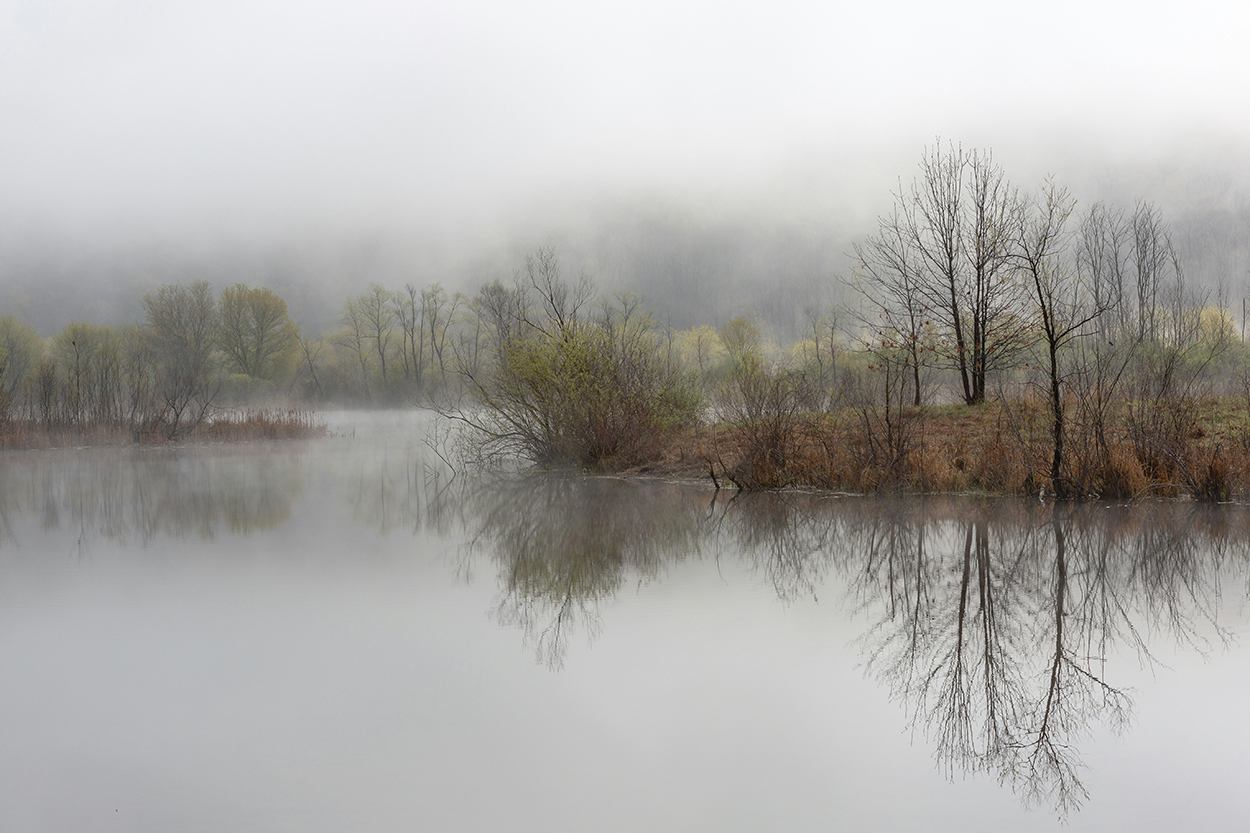 foggy river