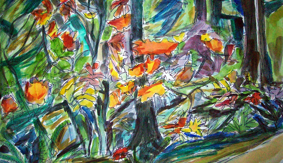 Forrest Beaux Arts Rhodies and Wildflowers Ink Watercolor