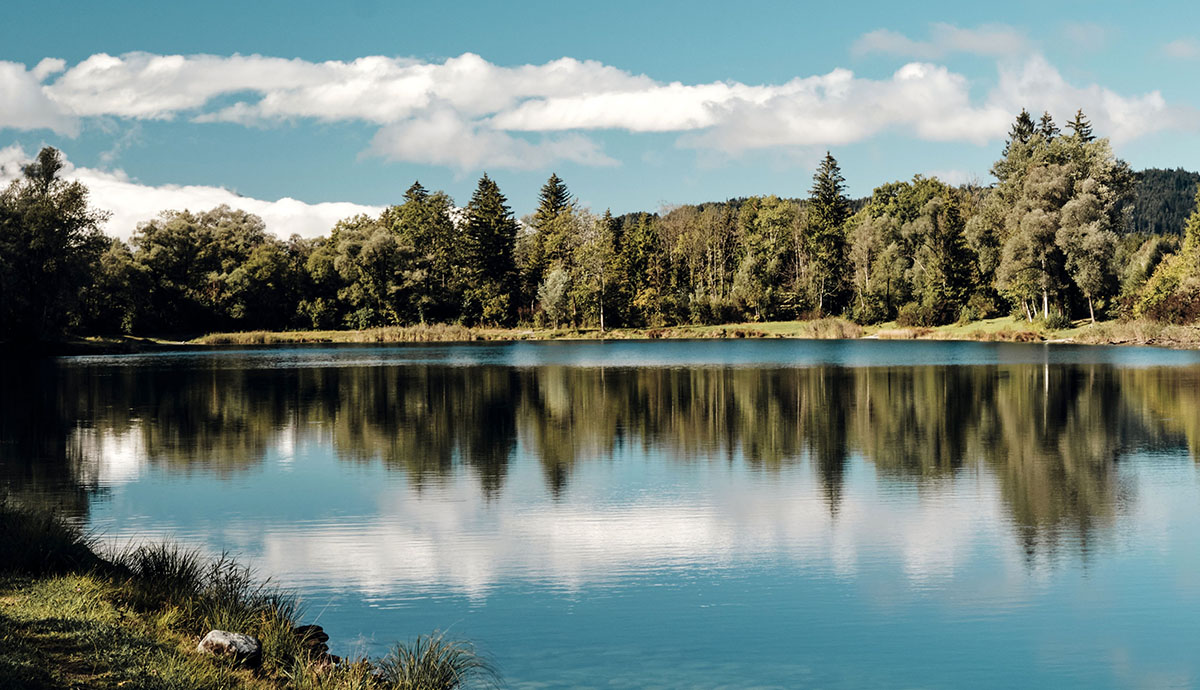 Header Graphic: Small lake surrounded by pine trees | Image Credit: Marcus Ganahl via Unsplash