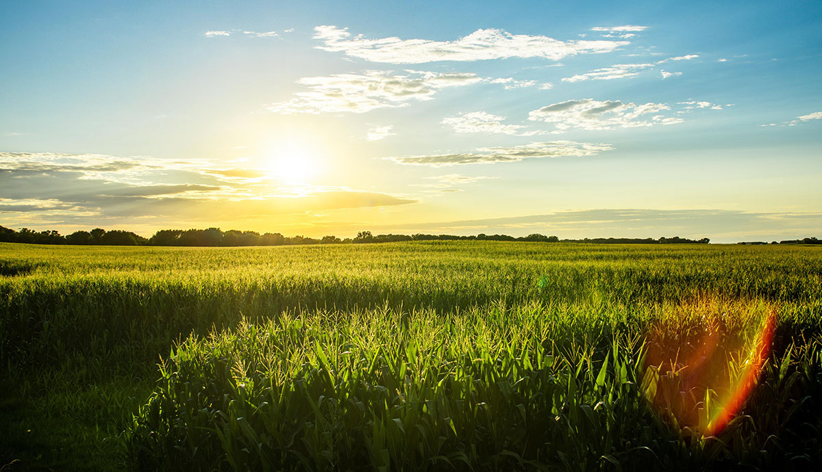 Header Graphic: Sun rise over a prairie | Image Credit: Demian Tejeda-Benitez via Unsplash