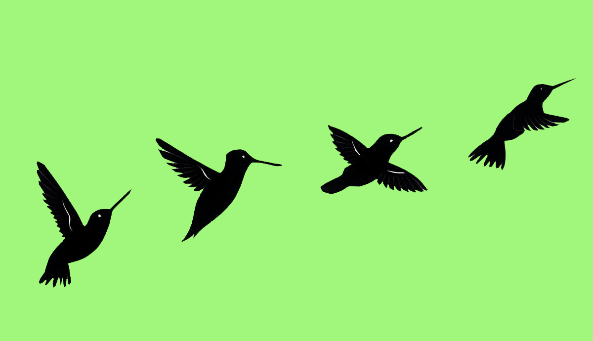 blackbirds on a green background