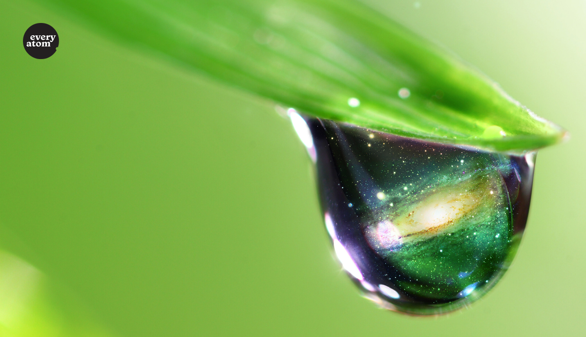 a galaxy in a dew drop