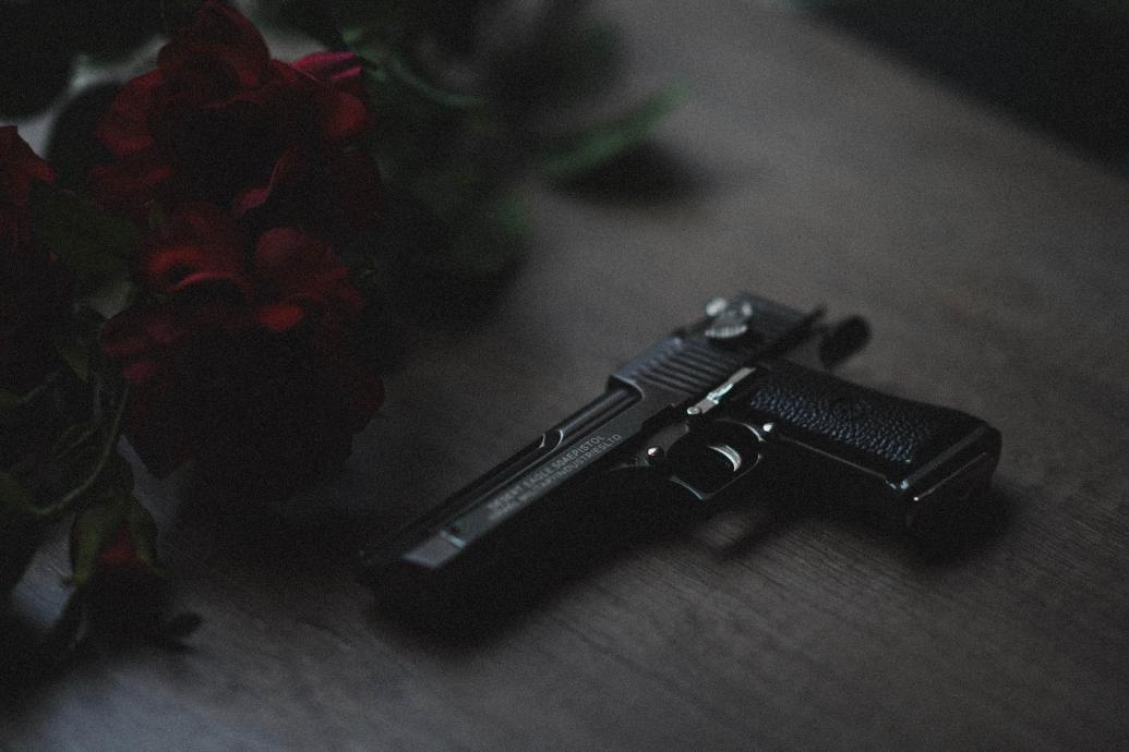 Pistol and flowers: Photo by Kenny Luo on Unsplash