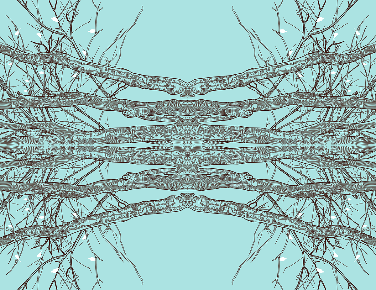 mirror image of trees and birds with a blue background