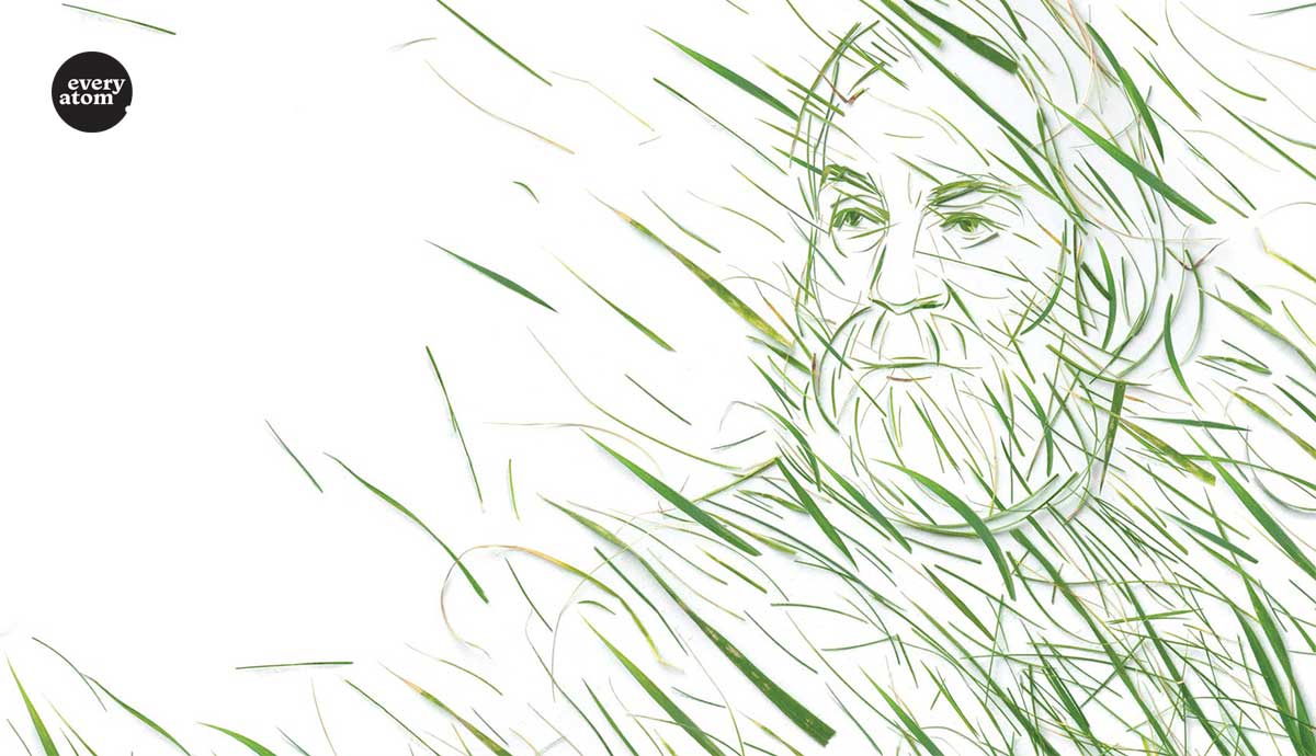 Whitman as grass, grass as Whitman