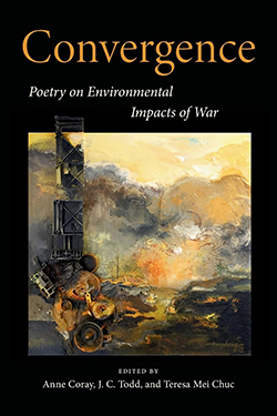 Convergence Book Cover