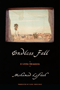 Endless Fall book cover