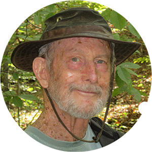 Robert Paviour