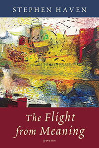 The Flight from Meaning Book Cover