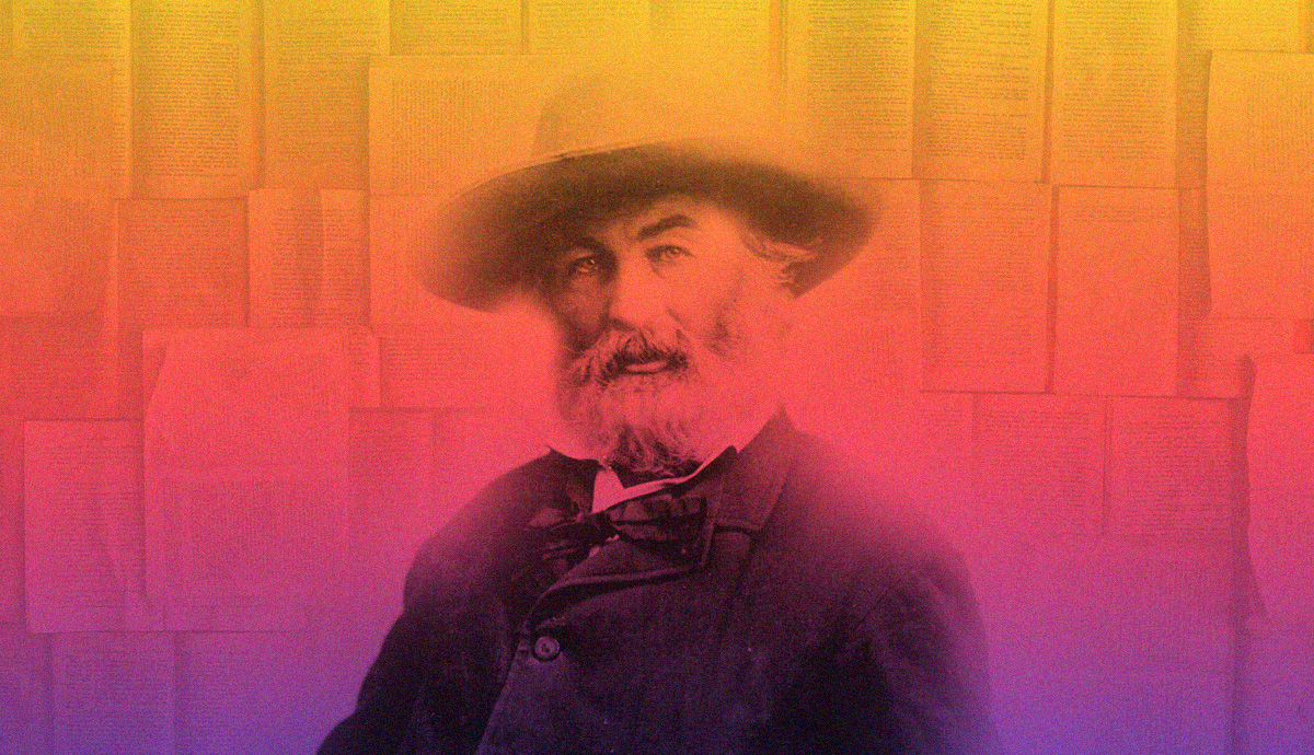 Whitman in a vibrant gradient