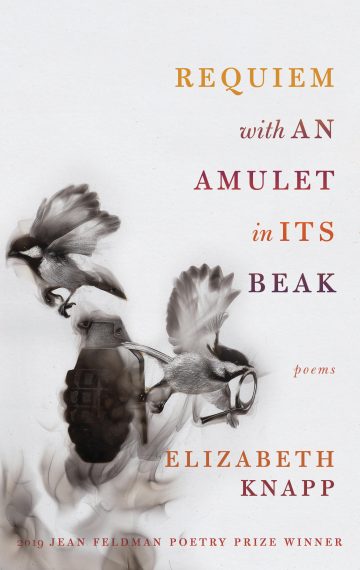 Book cover - Requiem with an Amulet in its Beak by Elizabeth Knapp