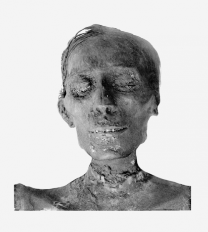 537px-Thutmosis_IV_mummy_head