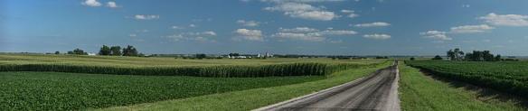 800px-Corn_fields_near_Royal,_Illinois