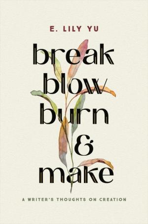 Cover art of Break, Blow, Burn, &amp; Make