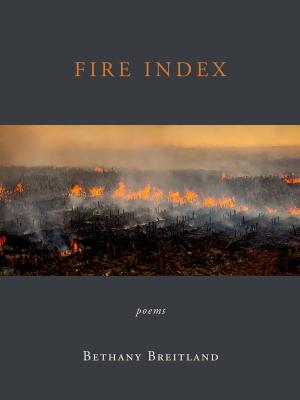 Cover Art | Fire Index