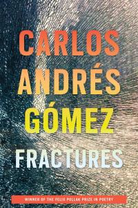 Cover of Fractures