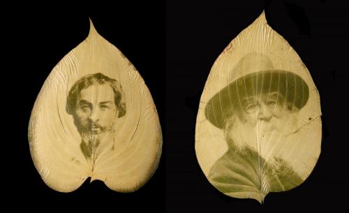 Whitman at two different ages on a leaf each