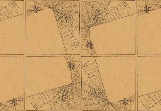 spiderweb sketch