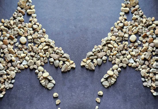 Strophes of Job cover with mirrored horse pebble formation