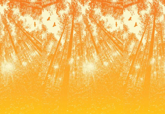 Yellow trees