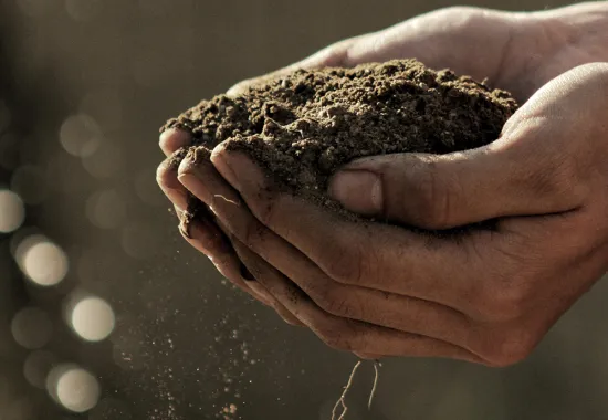 HeaderGraphic: Hands holding a clump of loose dirt | Image Credit: Gabriel Jimenez via Unsplash