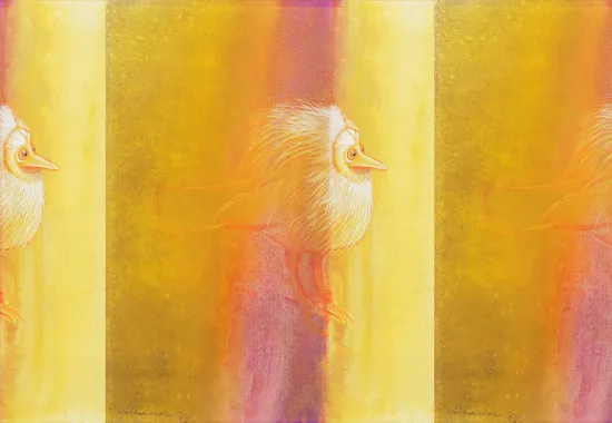 bid on yellow and pink background