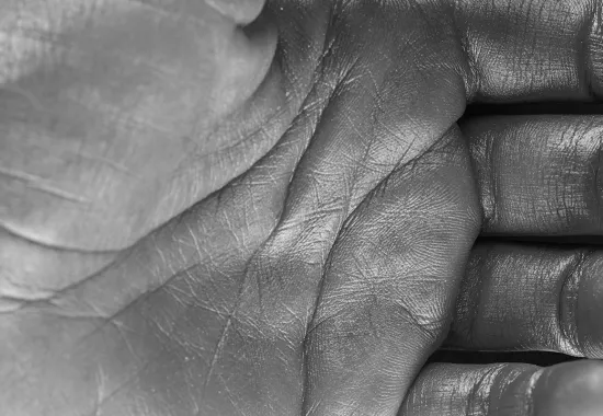 Black and White Close-Up of a Hand