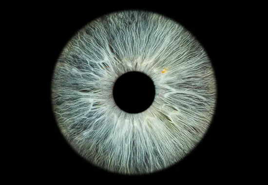 Eyeball closeup