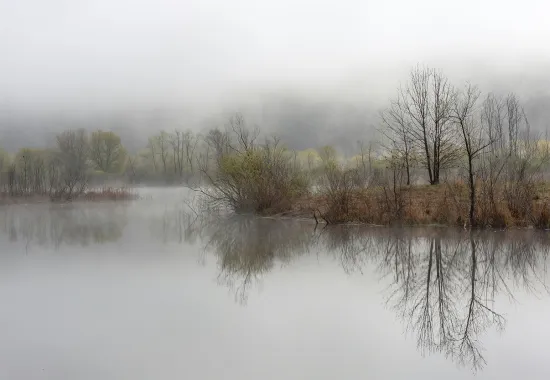 foggy river